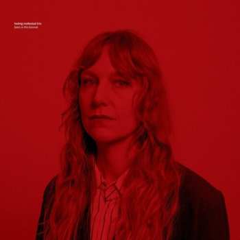 Album Hedvig Mollestad Trio: Bees In The Bonnet