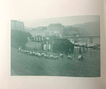 LP Henning Christiansen: Schafe Statt Geigen / "Verena" Vogelzymphon LTD