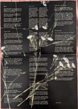LP Her's: Invitation To Her's