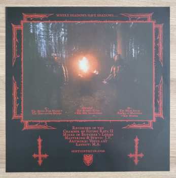 LP Hexerei: Realms..... CLR | LTD