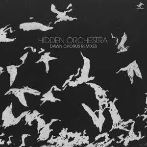 2LP Hidden Orchestra: Dawn Chorus Remixes 