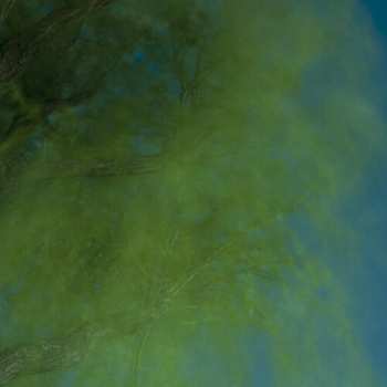 LP Hiroshi Ebina: Into The Darkness Of The Night CLR | LTD