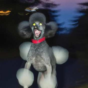 LP Hit Bargain: A DOG A DEER A SEAL CLR | LTD