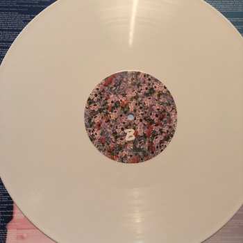 LP Hobo Johnson: The Fall of Hobo Johnson CLR