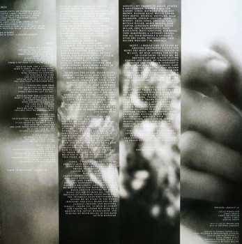 LP Holding Absence: Holding Absence CLR | LTD