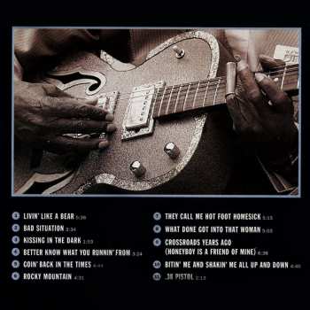 CD Homesick James: Goin' Back In The Times