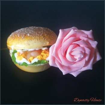 Album Hooded Fang: Dynasty House