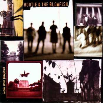 LP Hootie & The Blowfish: Cracked Rear View