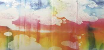 2LP Hot Chip: A Bath Full Of Ecstasy