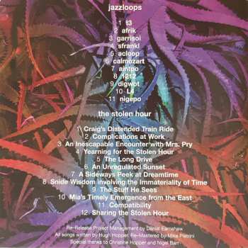 2CD Hugh Hopper: Jazzloops / The Stolen Hour