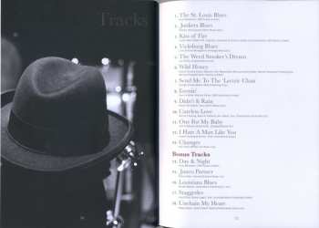 2CD Hugh Laurie: Didn't It Rain