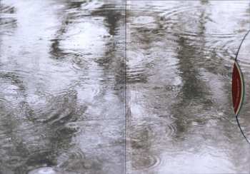 2CD Hugh Laurie: Didn't It Rain