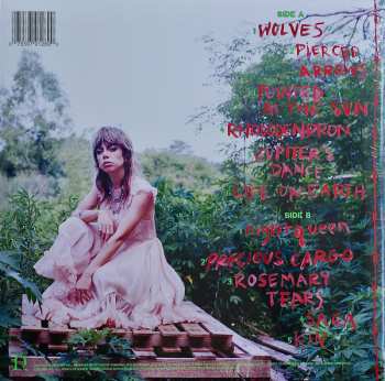 LP Hurray For The Riff Raff: Life On Earth