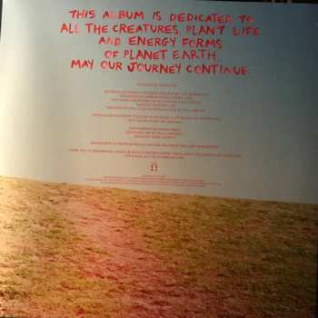 LP Hurray For The Riff Raff: Life On Earth