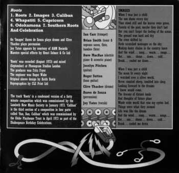 2CD Nucleus: Labyrinth / Roots