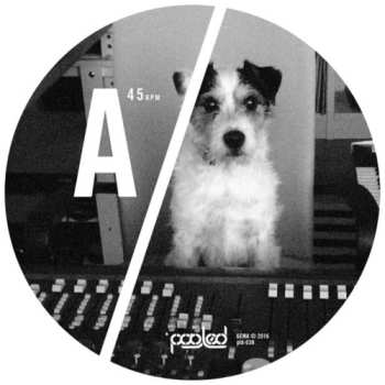 LP Ian Pooley: Turakina EP