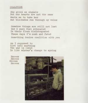 LP Iceage: You're Nothing