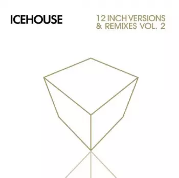 12 Inch Versions & Remixes Vol. 2
