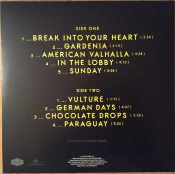 LP Iggy Pop: Post Pop Depression