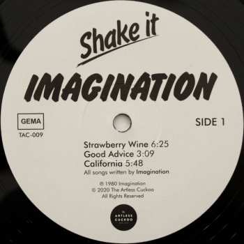 2LP Imagination: Shake It
