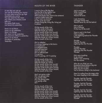 CD Imagine Dragons: Evolve DLX