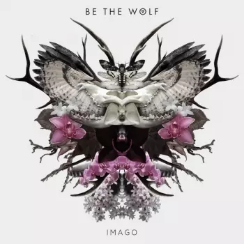 Imago