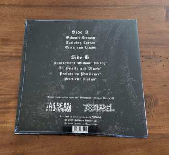 LP Impurist: Evolving Cortex LTD