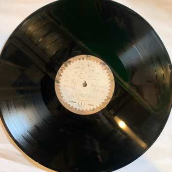 LP In The Pines: Impossible Daze