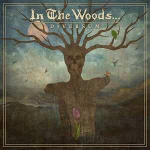LP In the Woods...: Dīversum CLR | LTD