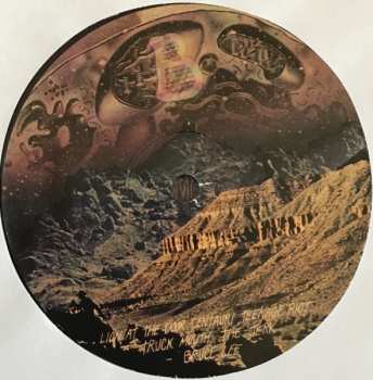 LP Indian Handcrafts: Civil Disobedience For Losers