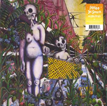 LP Indigo De Souza: Any Shape You Take LTD
