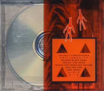 CD These New Puritans: Inside The Rose