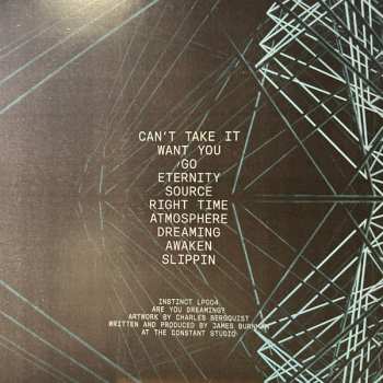 2LP Instinct: Are You Dreaming?