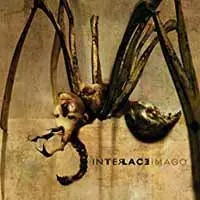 Interlace: Imago
