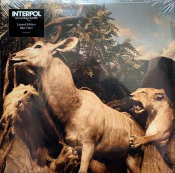 2LP Interpol: Our Love To Admire LTD | CLR