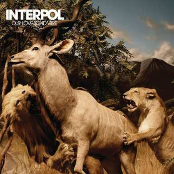 2LP Interpol: Our Love To Admire LTD | CLR