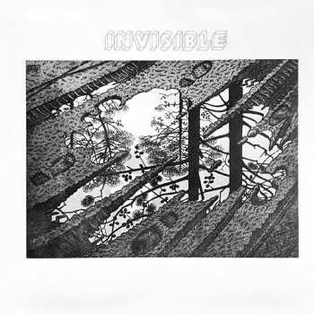 LP/SP Invisible: Invisible