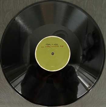 2LP Iron And Wine: Our Endless Numbered Days  DLX