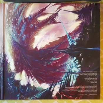 2LP Irreversible Mechanism: Immersion