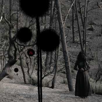 Album ISIS: Not In Rivers, But In Drops