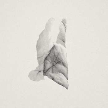 LP Jabu: Sleep Heavy