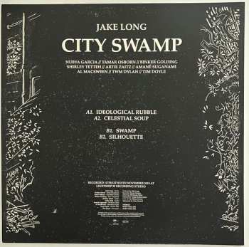 LP Jake Long: City Swamp