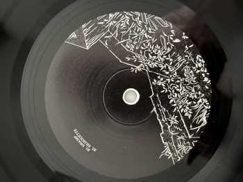 LP Jake Long: City Swamp