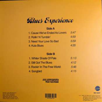 LP Jake Shimabukuro: Blues Experience