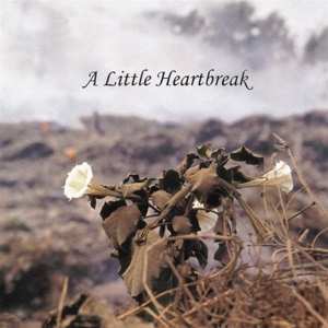 CD Jan Norris: A Little Heartbreak