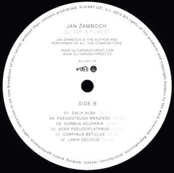 LP Jan Žamboch: Guitar & Forest