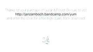LP Jan Žamboch: Guitar & Forest