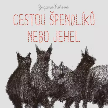 Říhová: Cestou špendlíků Nebo Jehel