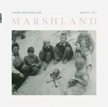 Marshland