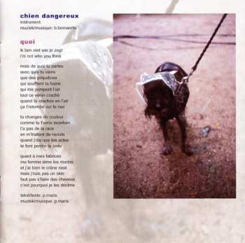 CD Jaune Toujours: Camping Del Mundo